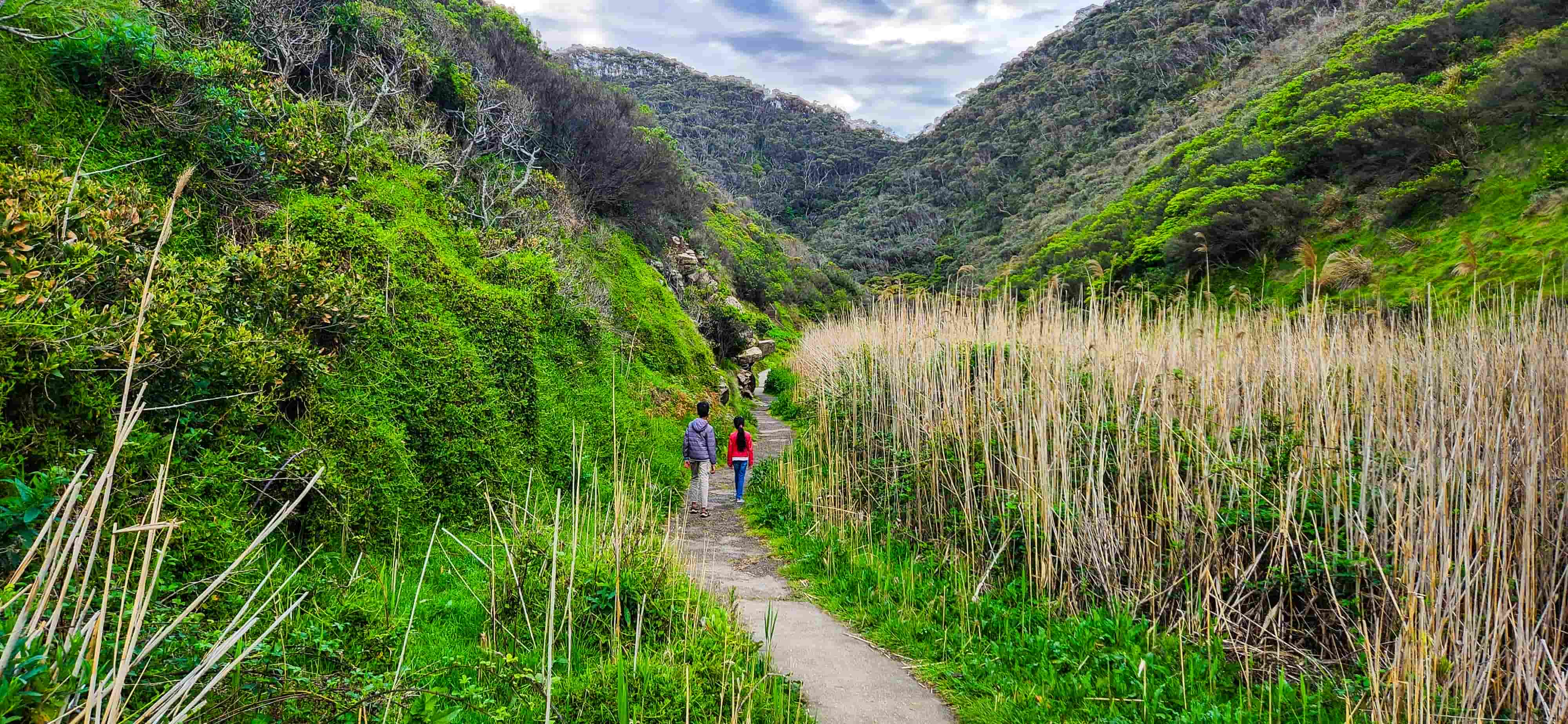 Sheoak Falls Walking Trail