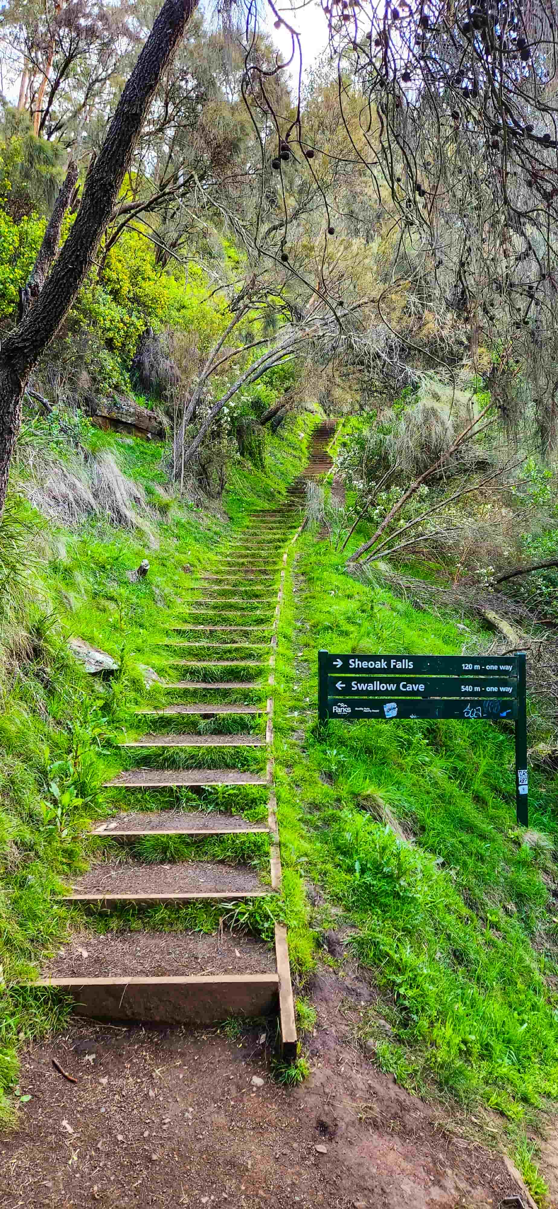 Steep steps to Swallow Cave