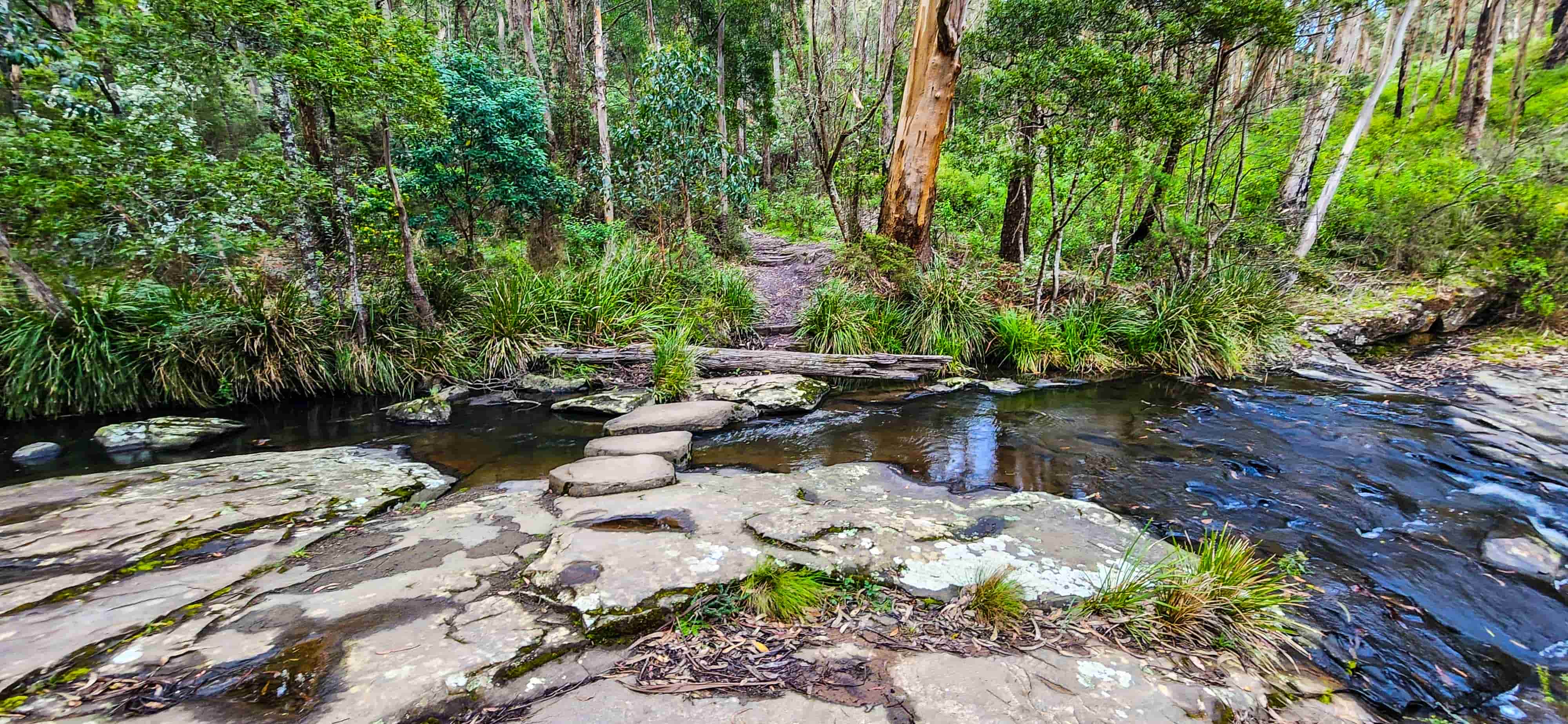 Creek crossing along Swallow Cave Walking Trail