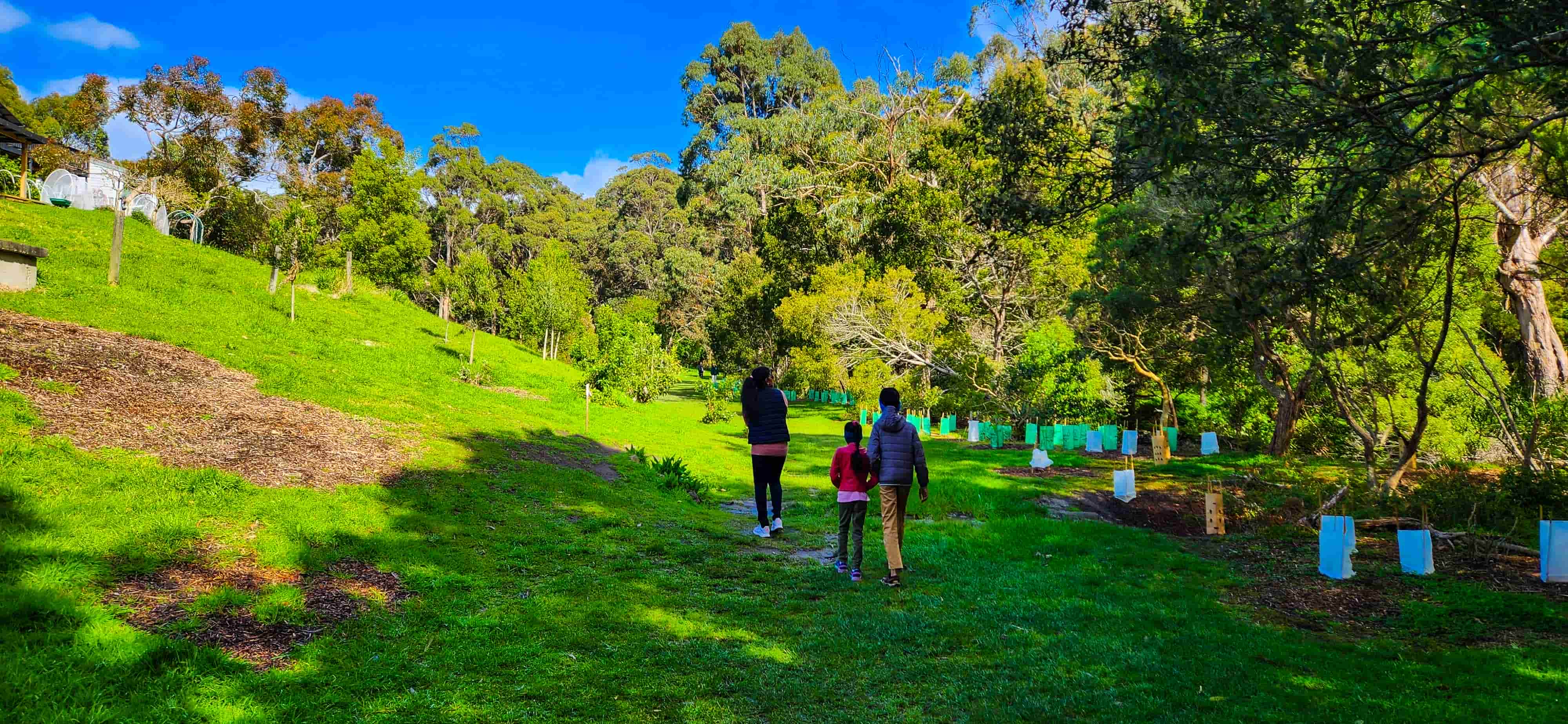 Kennett River Nature Walk