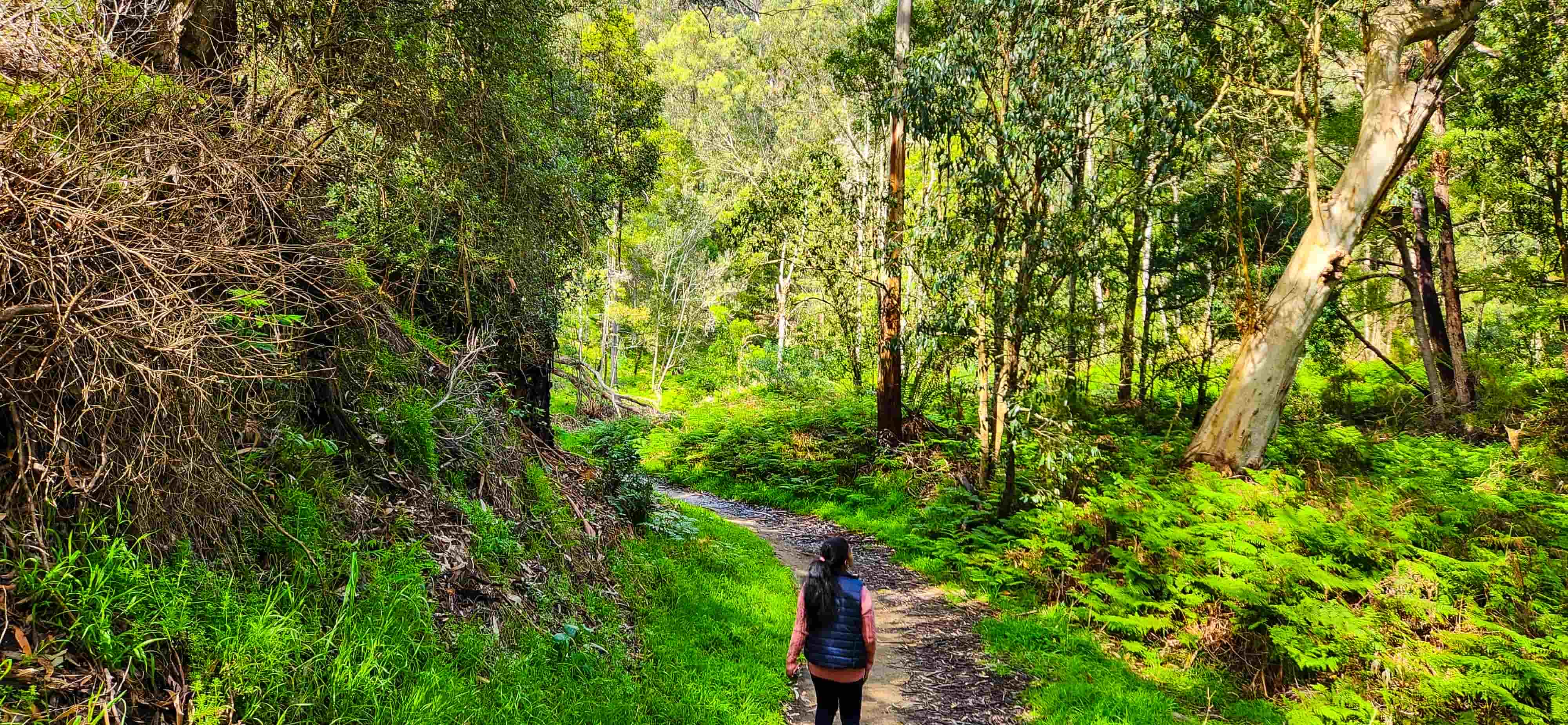 Kennett River Nature Walk Trail