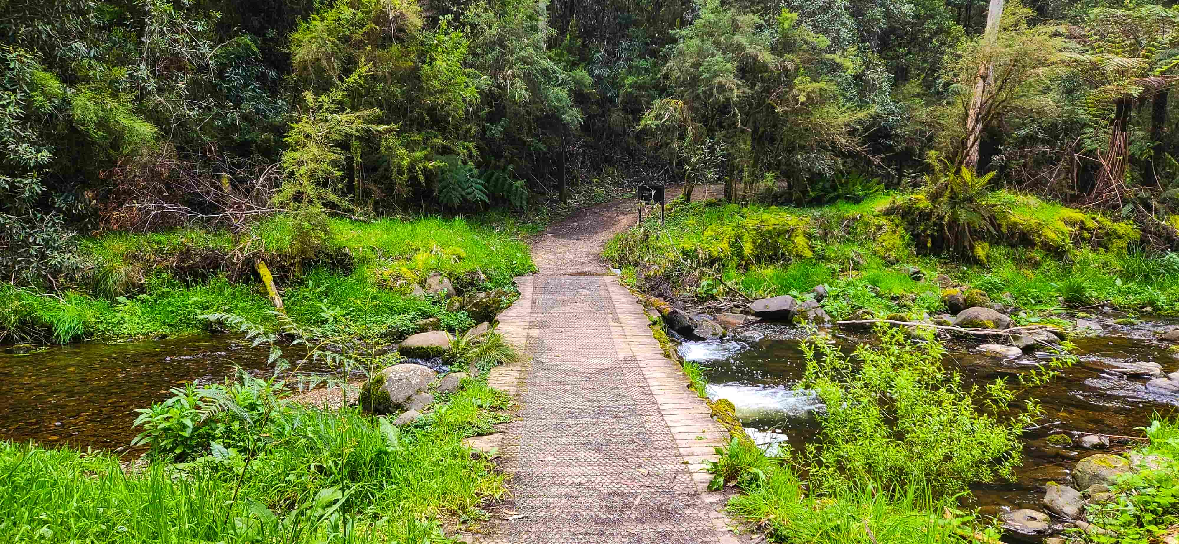 Creek crossing along Lake Elizabeth Walking Trail