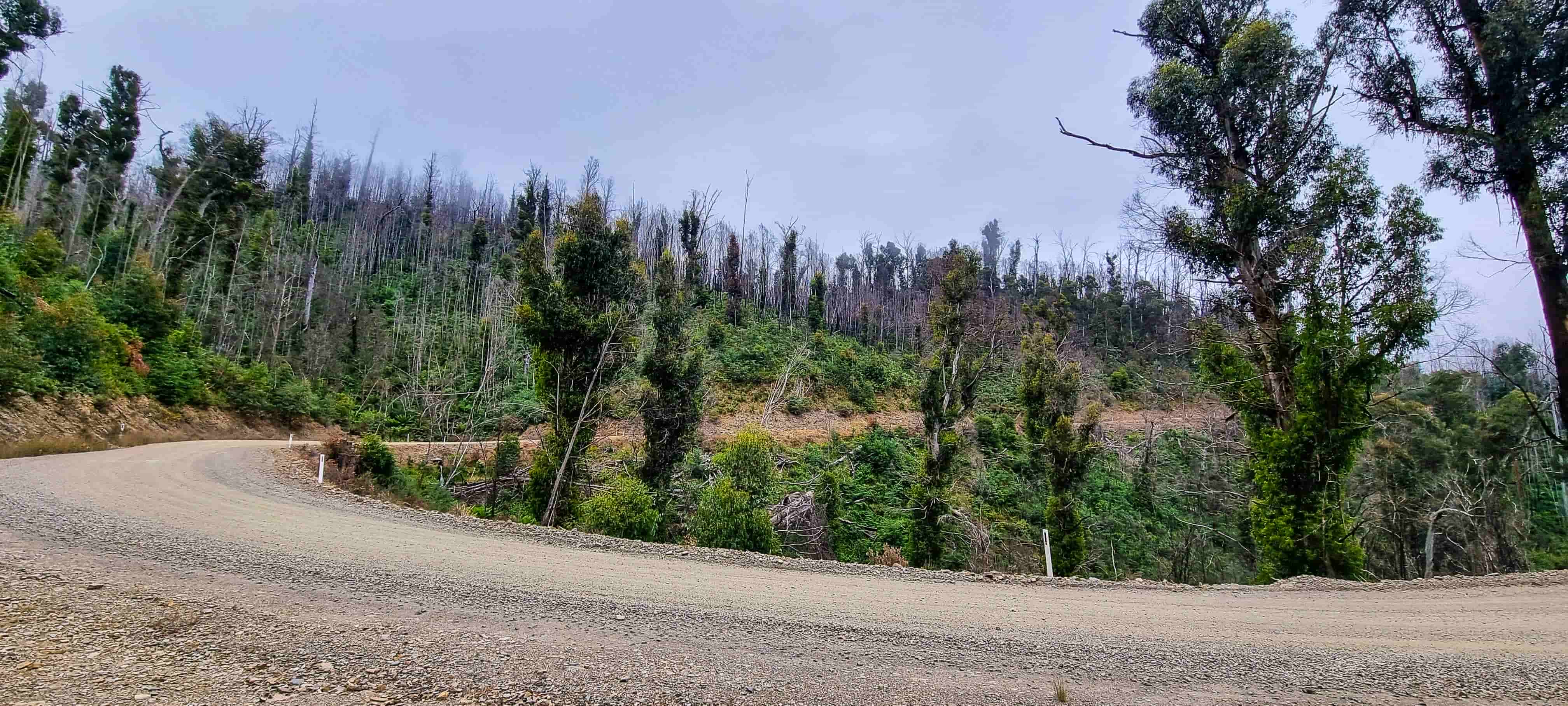 C545 Benambra–Corryong Road