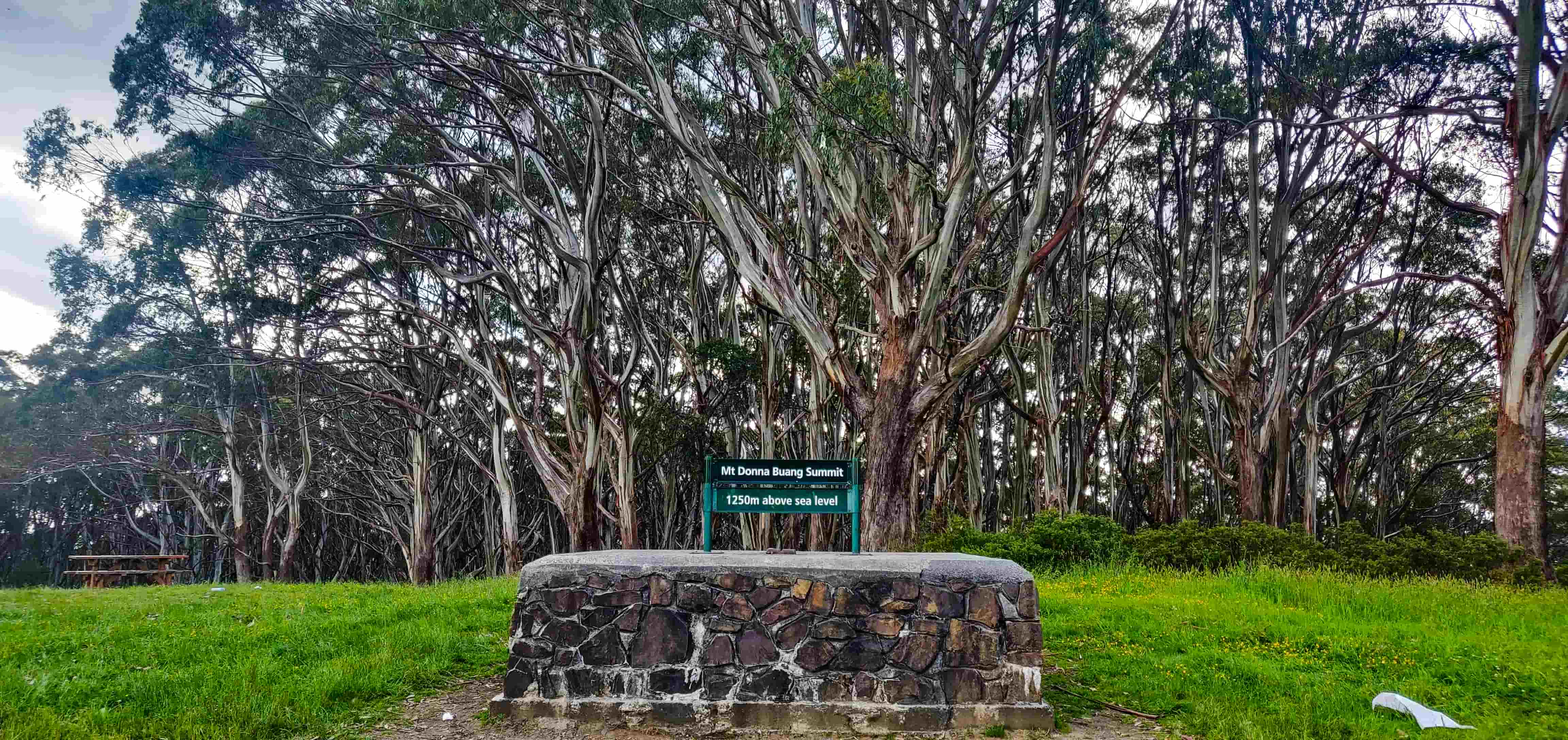 Mount Donna Buang Summit