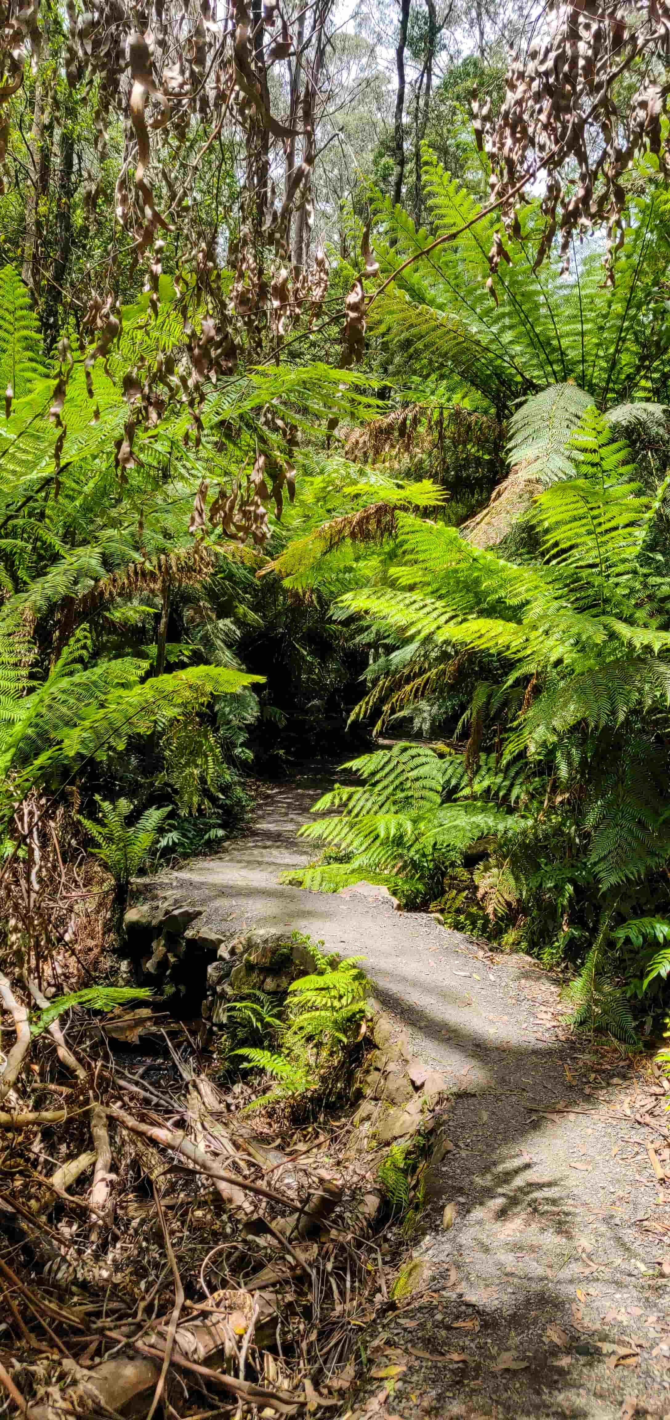 La La Falls Walking Trail