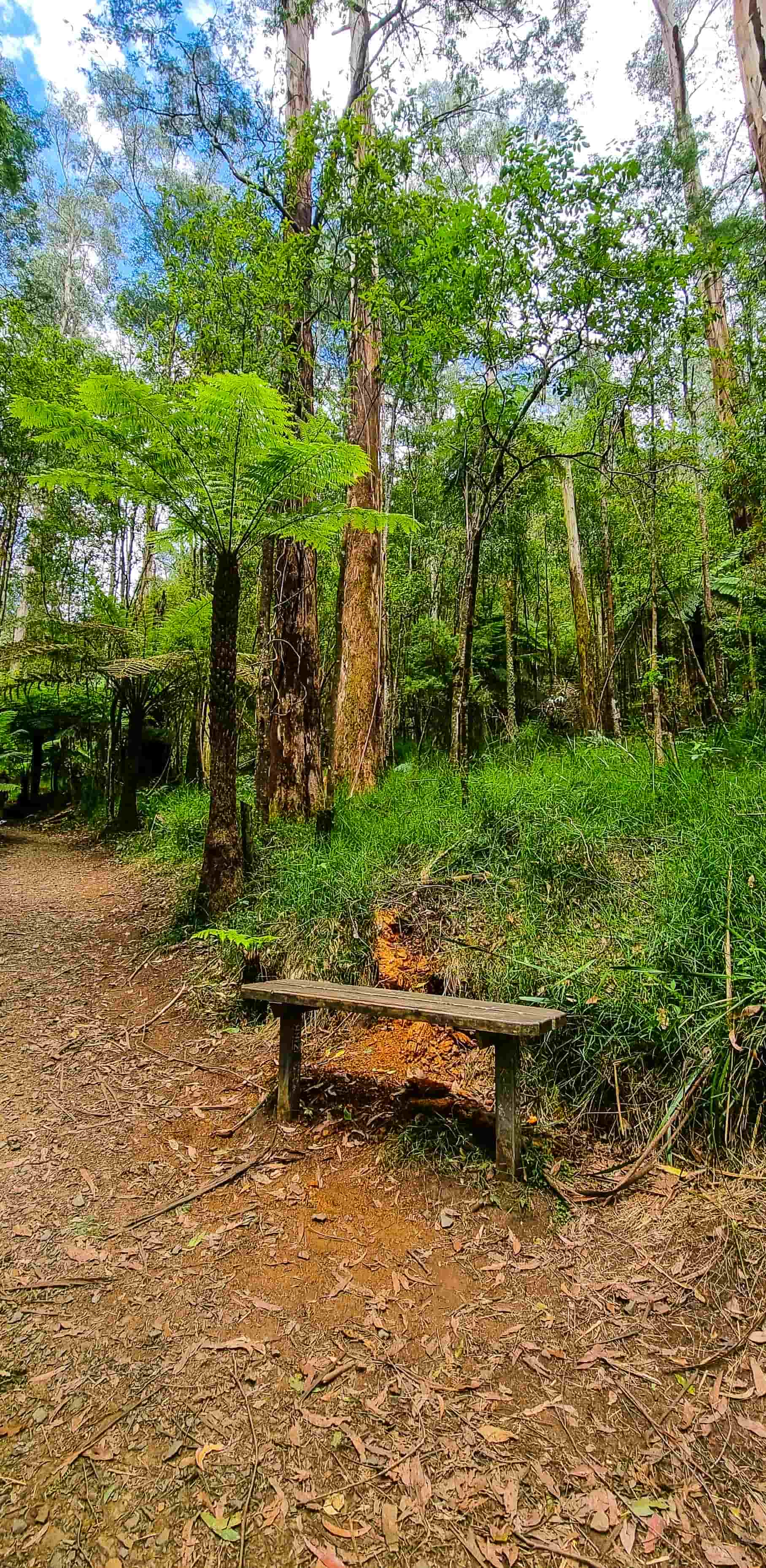 La La Falls Walking Trail