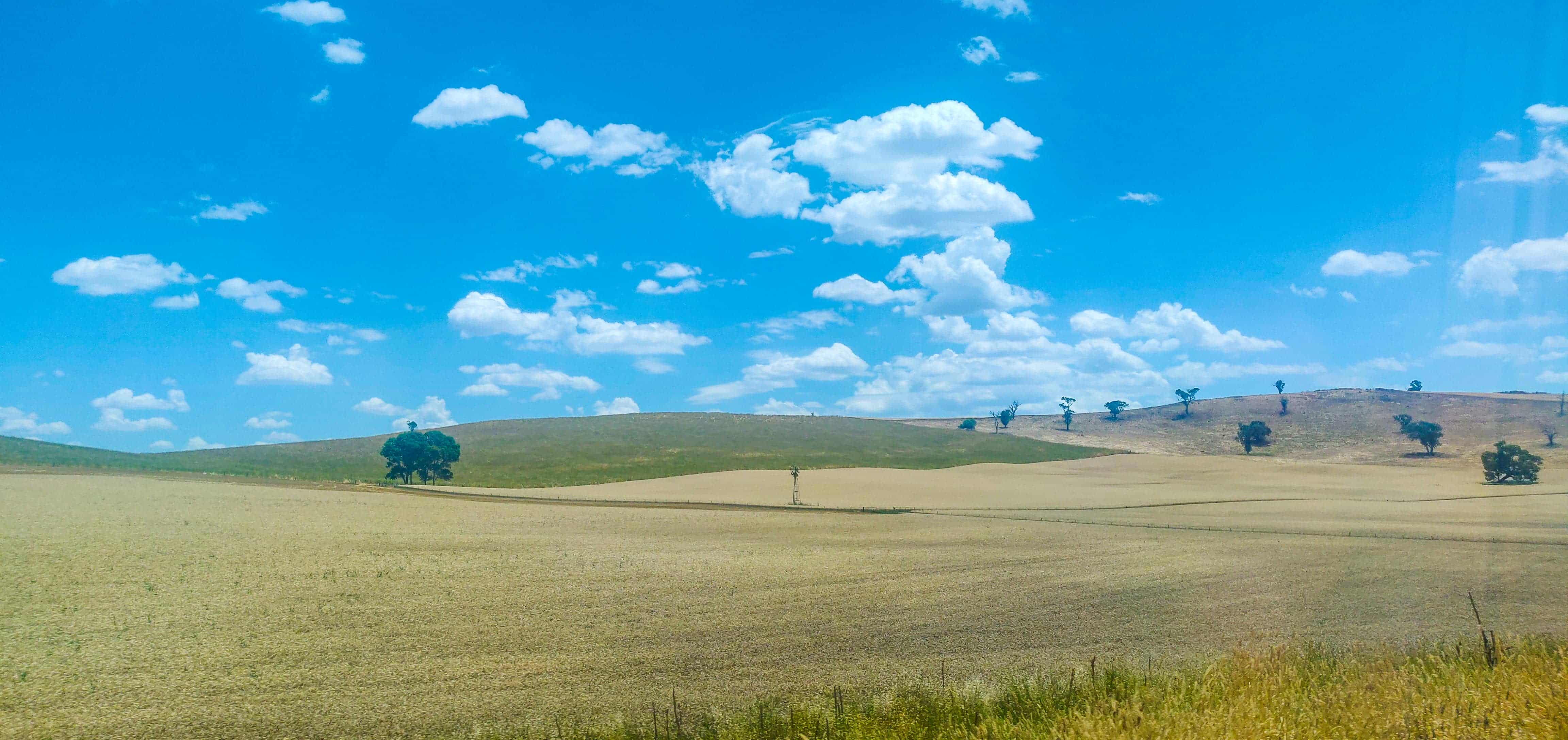 Sydney to Melbourne XPT Train
