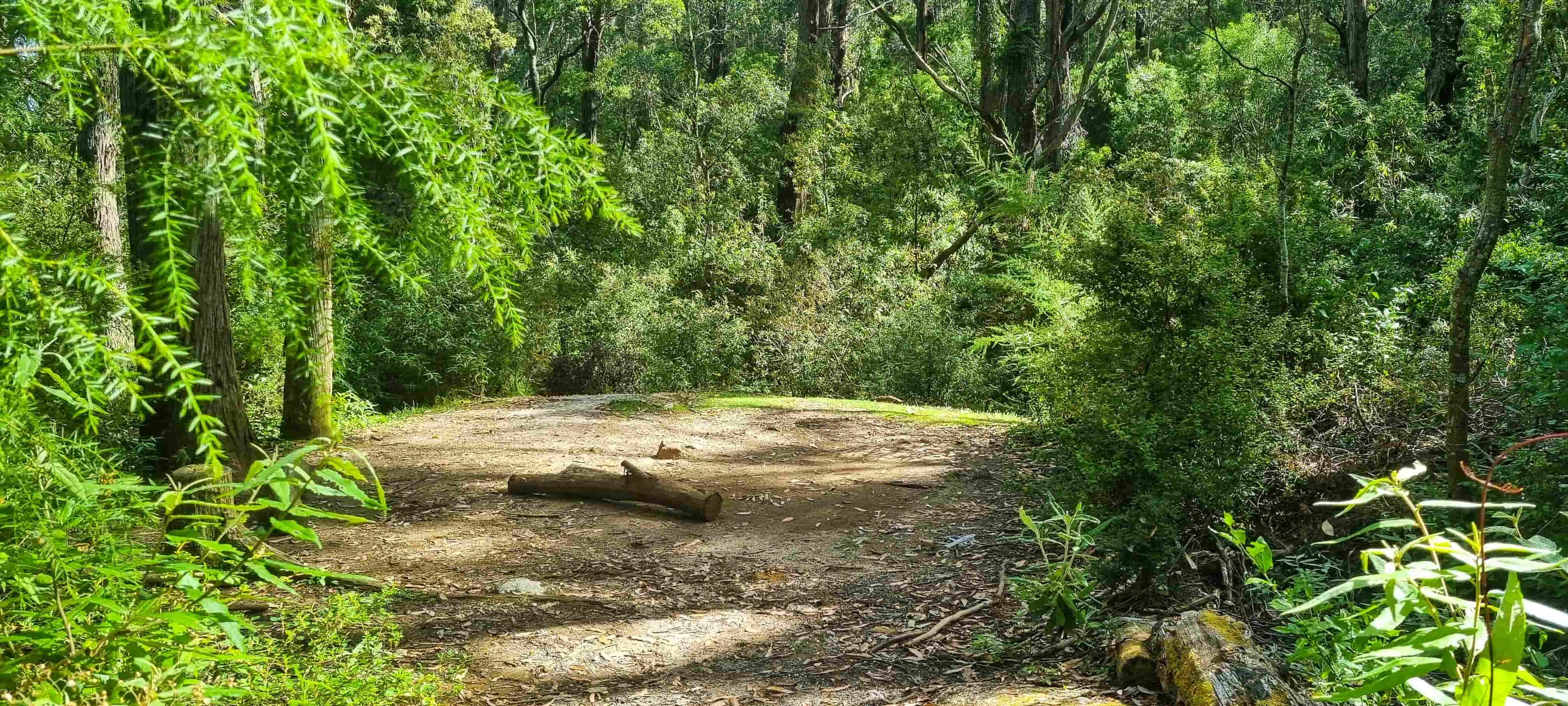 Roaring Meg Campsite