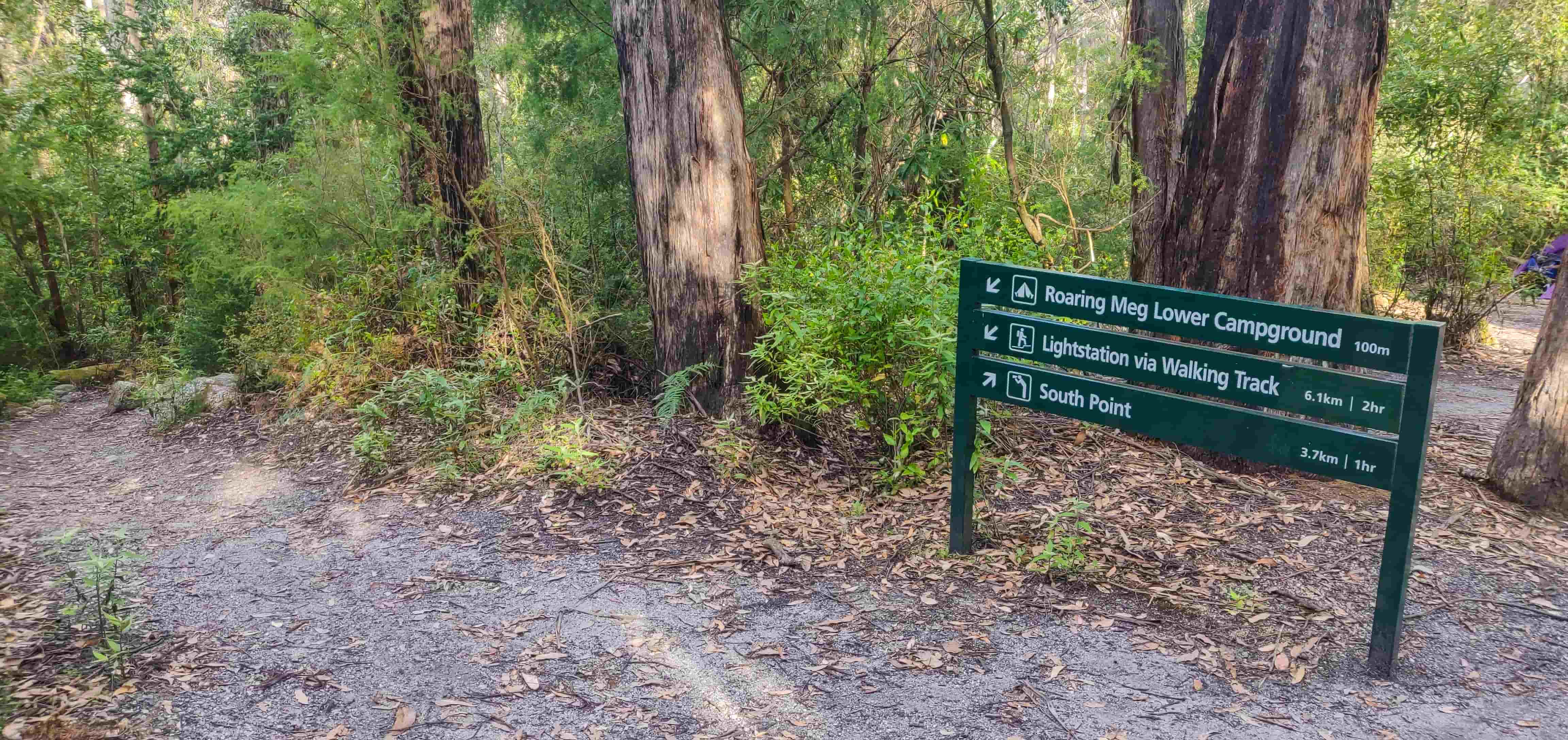 Path to the creek from Roaring Meg campsite