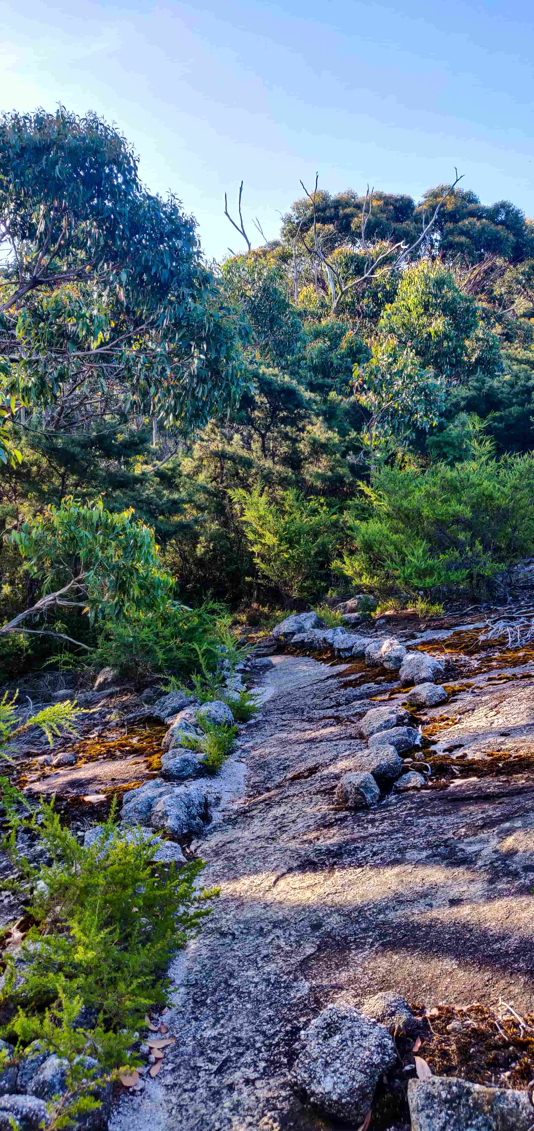 South Point walking track