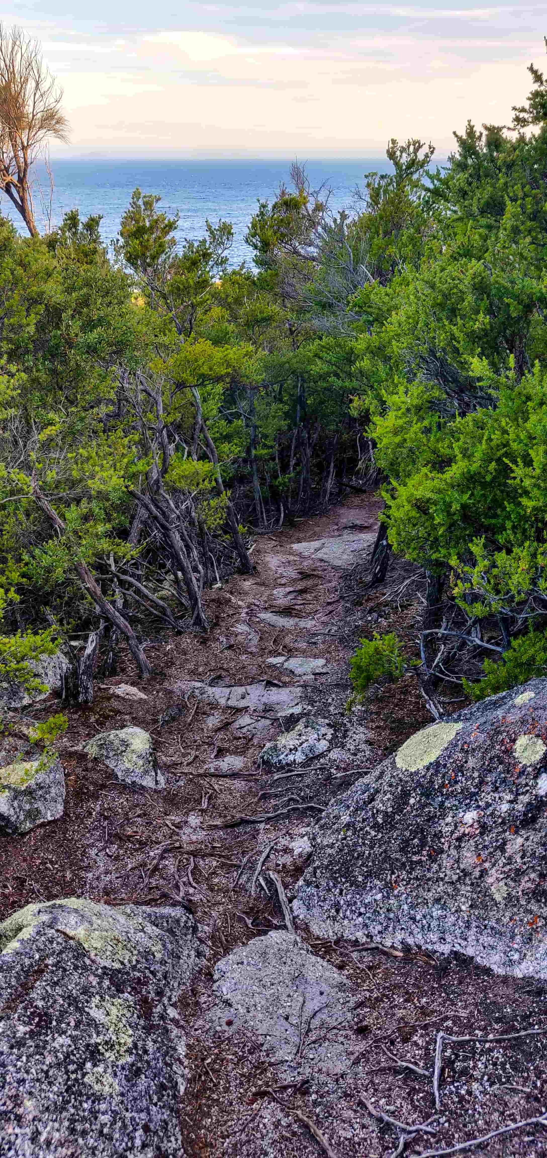 South point walking track