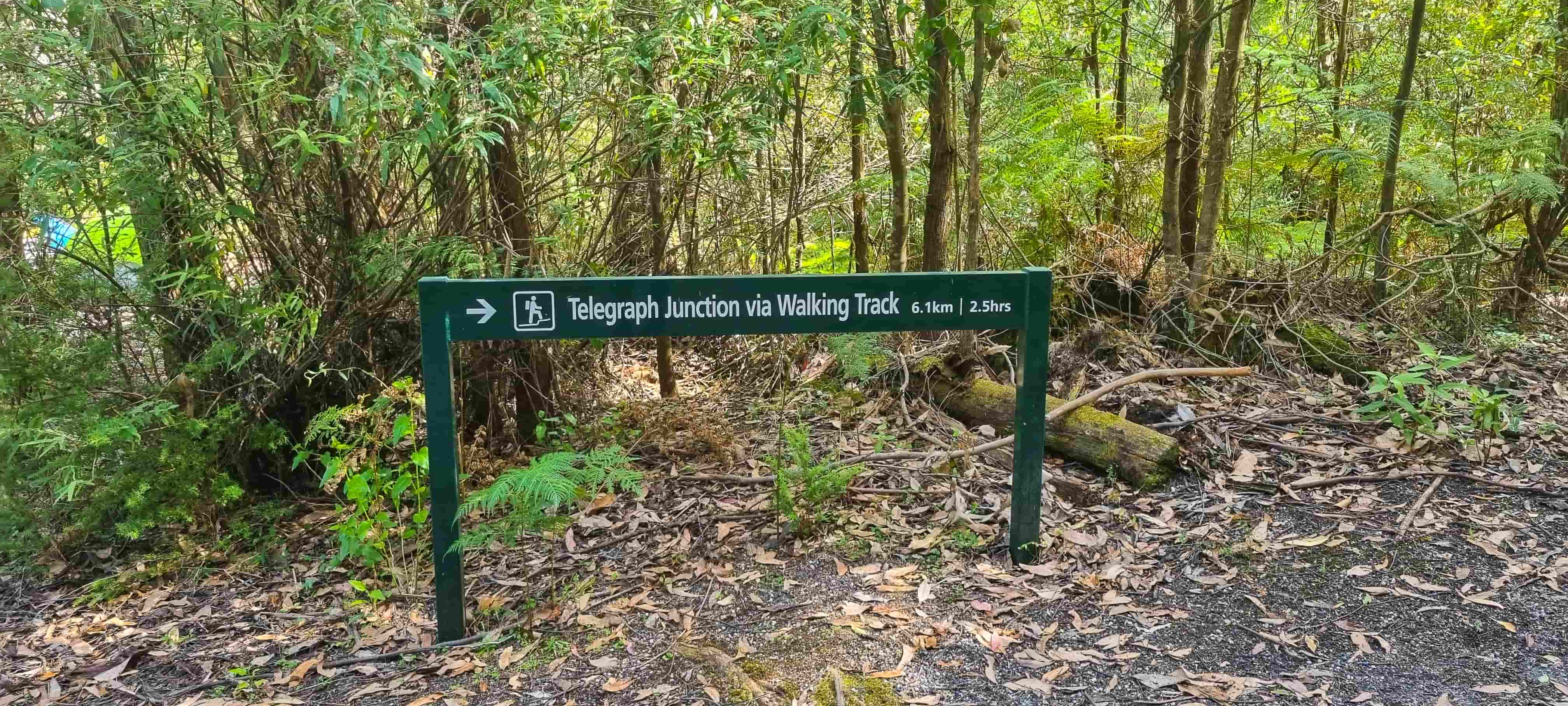 Return Trip from South Point via Walking Track