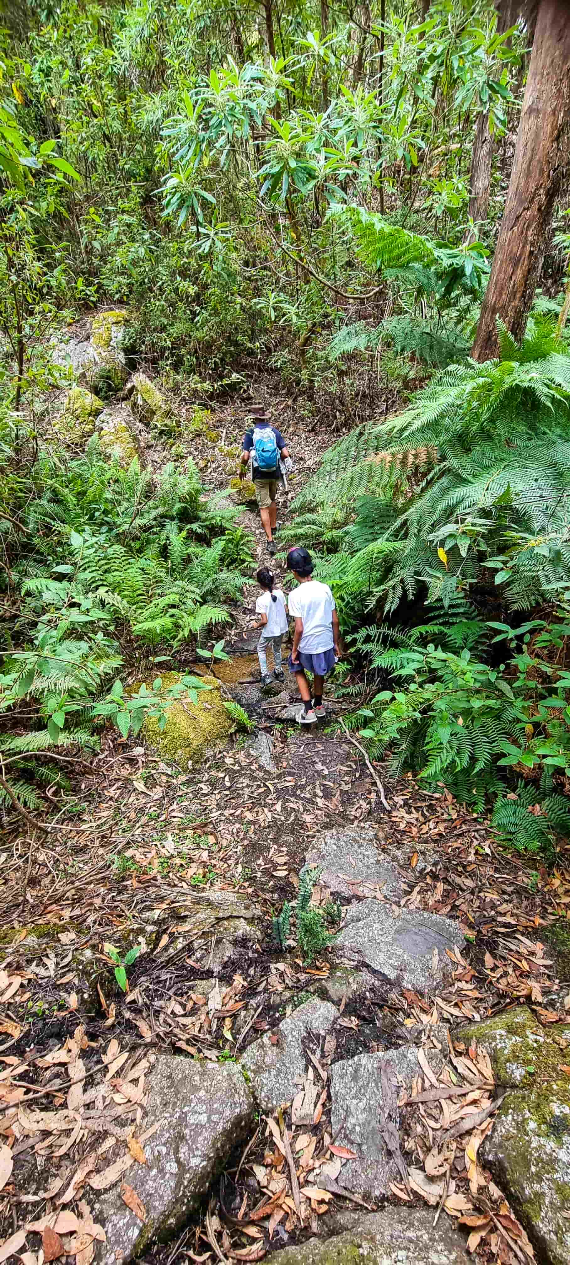 Roaring Meg to South Point