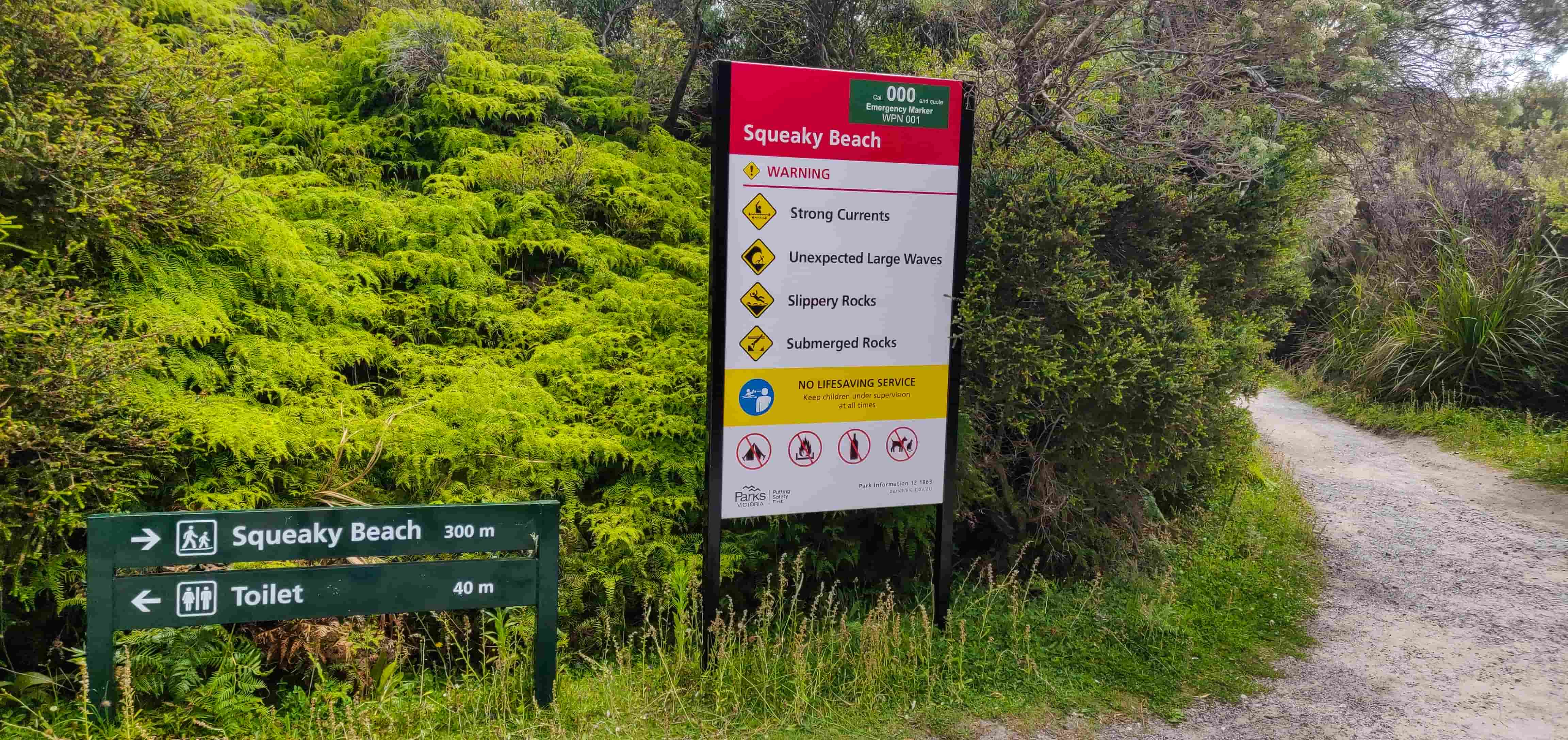 Squeaky Beach Carpark