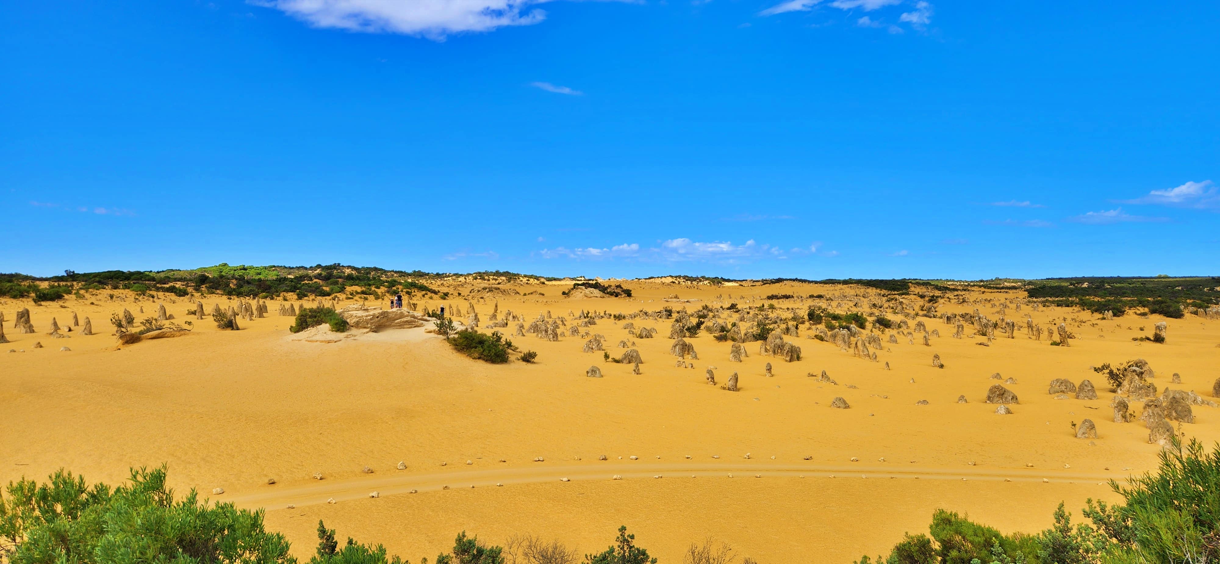 The Pinnacles Desert in Nambung National Park, WA