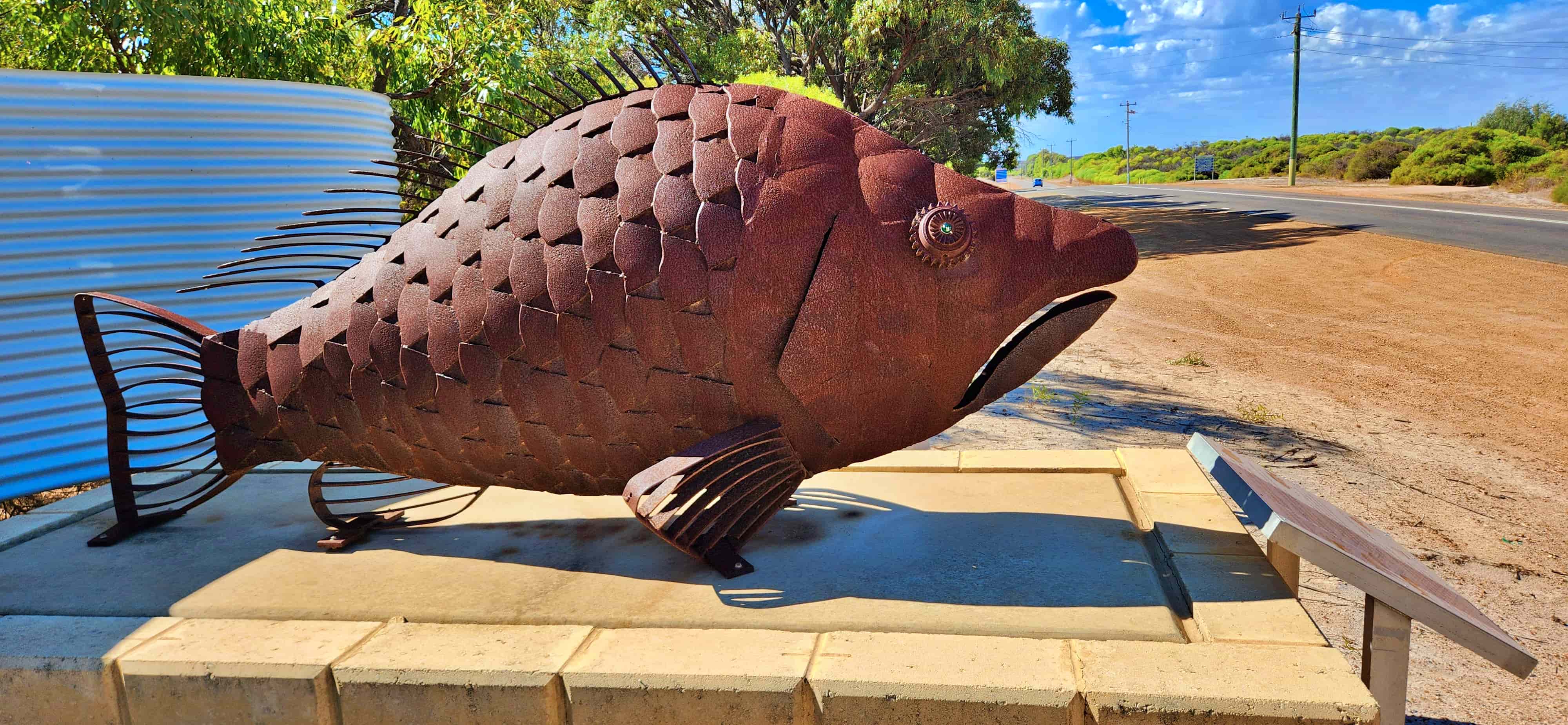 The BIG Dhufish in Cervantes, WA