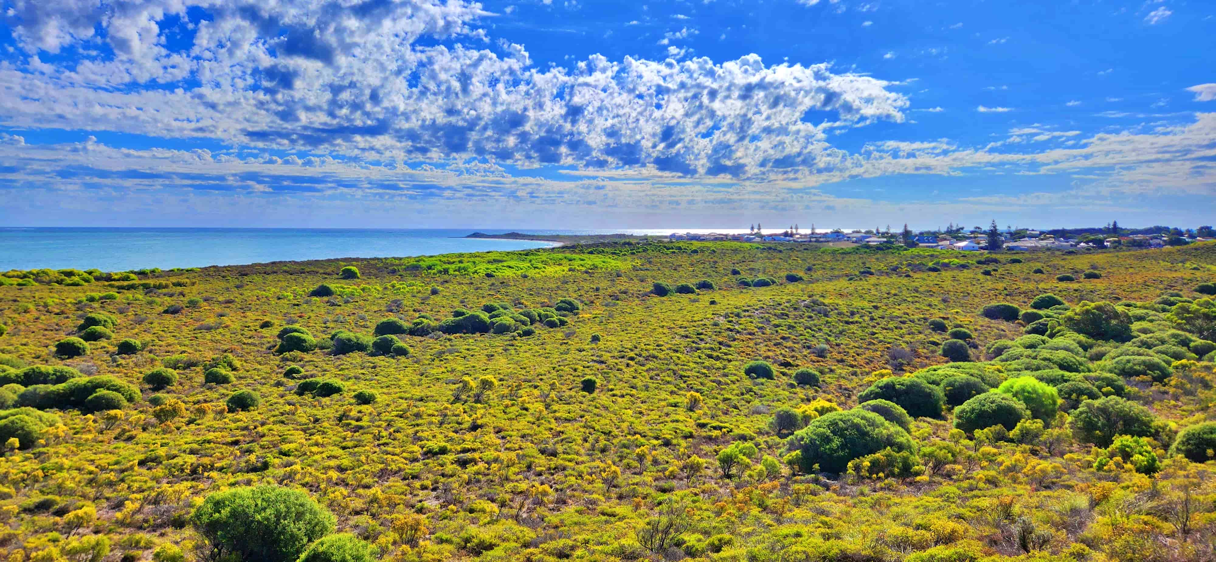 Hansen Bay Lookout near Lake Thetis in Cervantes, WA