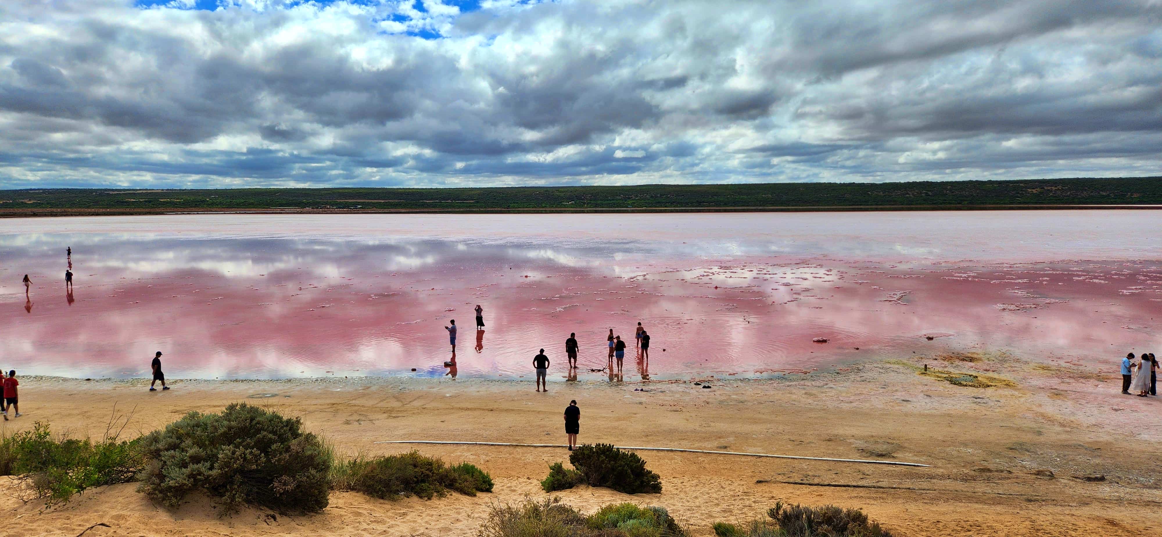 Pink Lake Lookout, Hutt Lagoon, Port Gregory WA