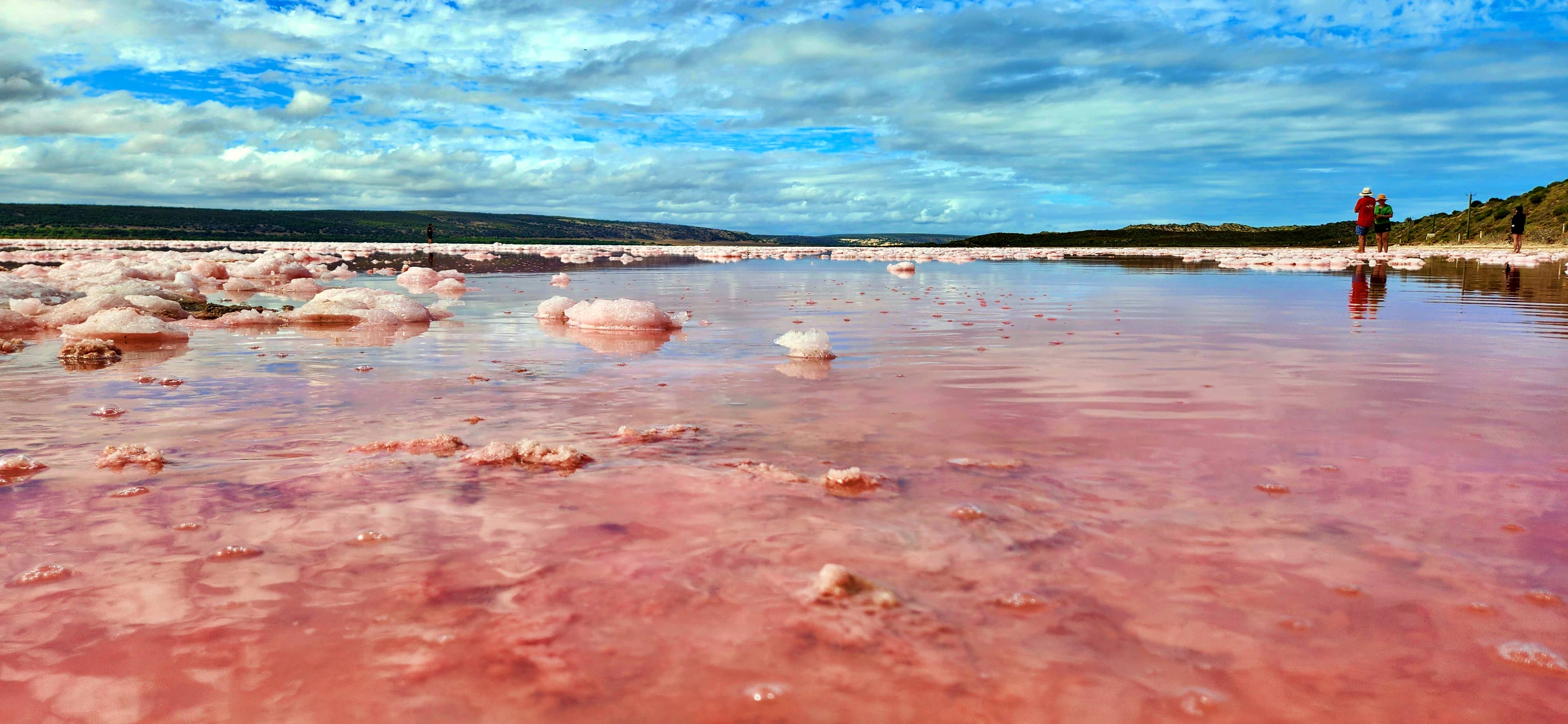 Pink Lake, Hutt Lagoon, Port Gregory WA