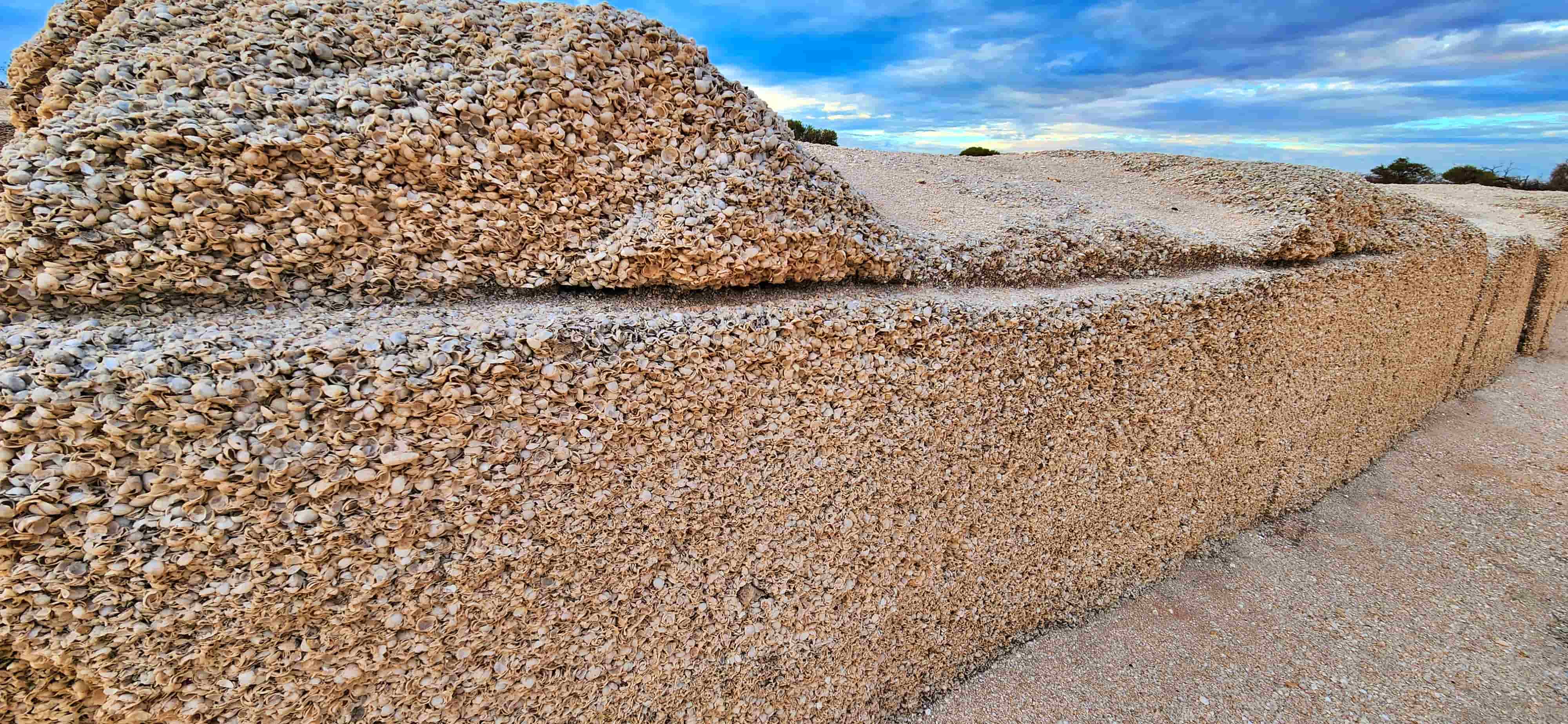 Shell Blocks in Old Shell Quarry, Shark Bay, WA