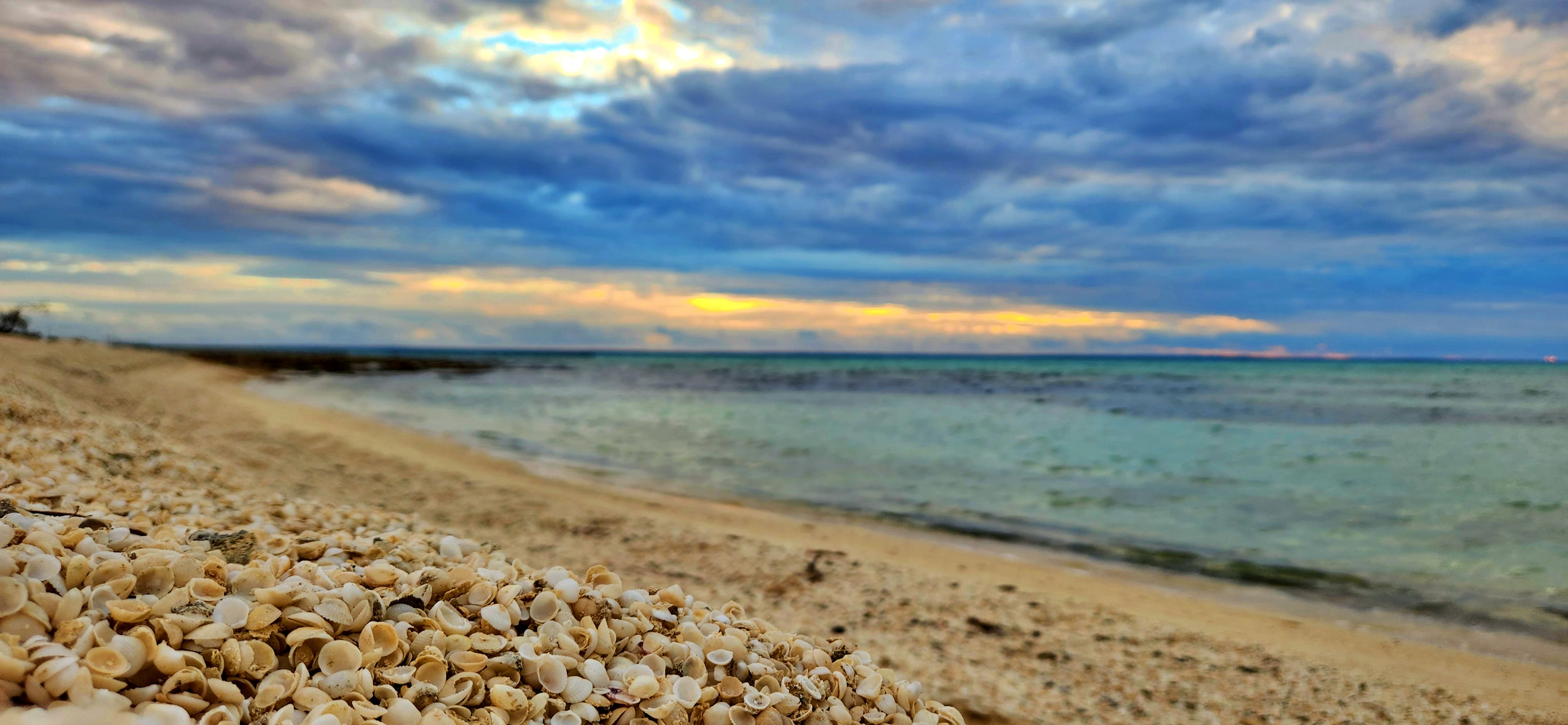 Beach made of shells, Hamelin Pool Beach, Shark Bay, WA