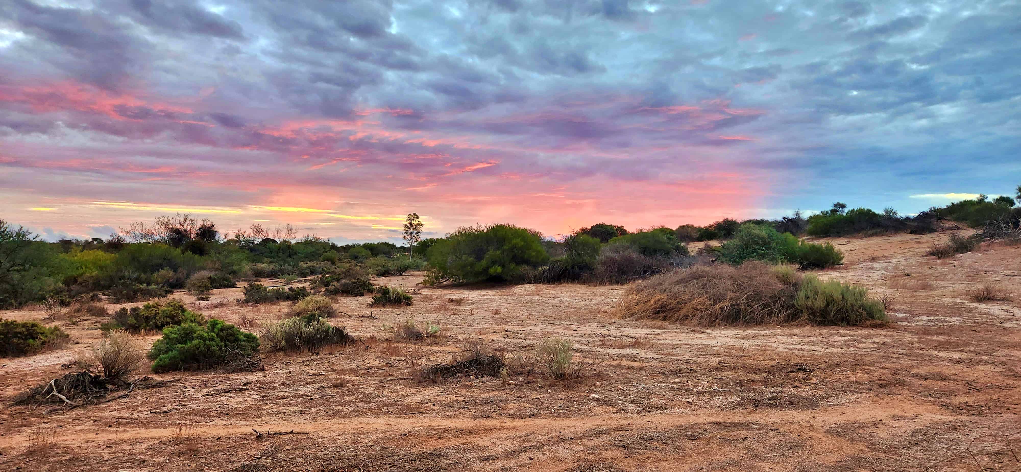 Sunset viewed from Hamelin Pool Caravan Park, Shark Bay, WA