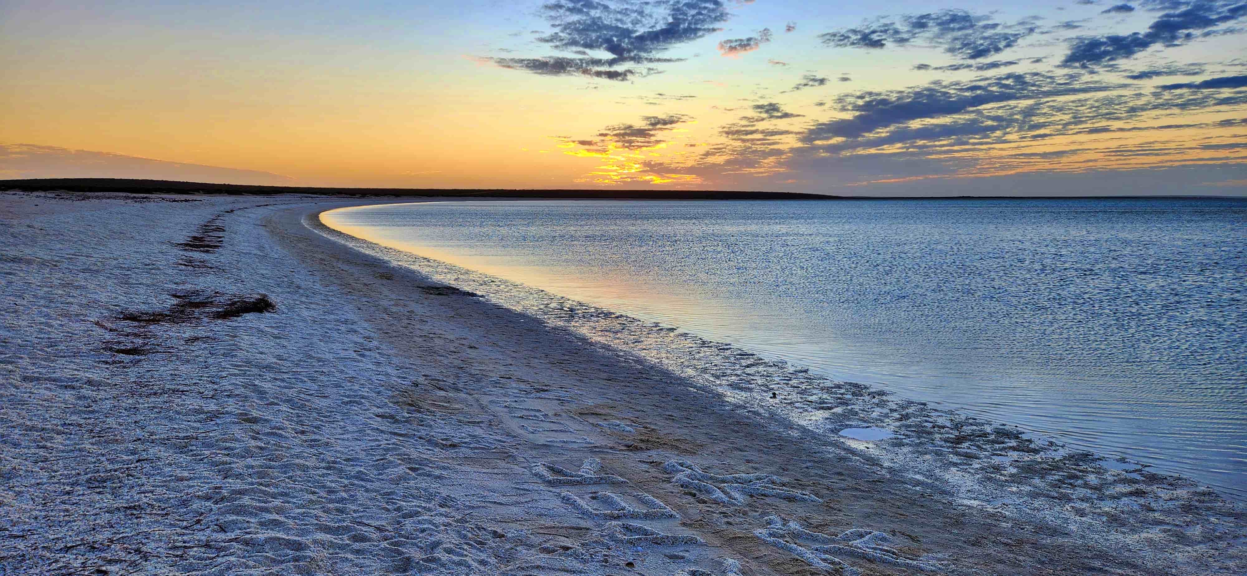 Shell Beach, Denham