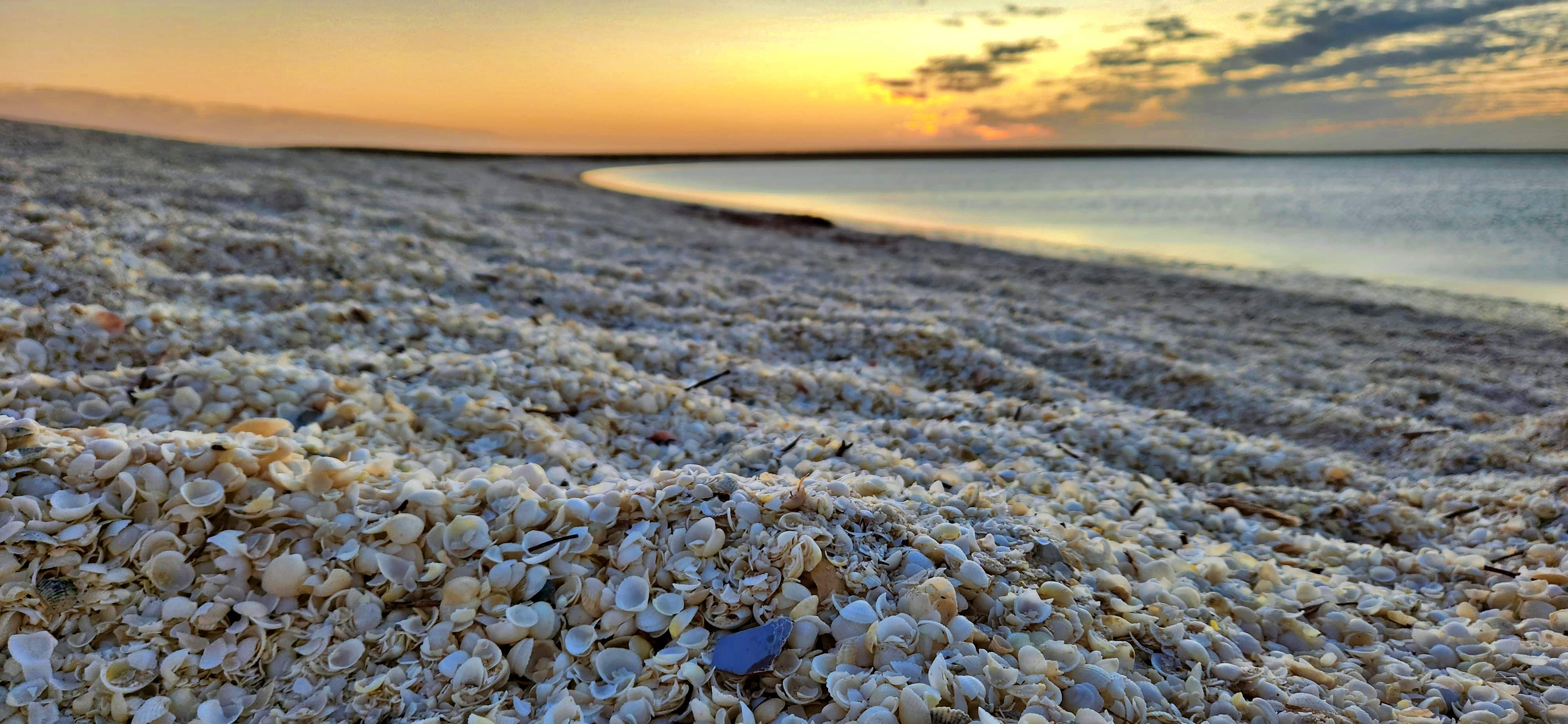 Sunset at Shell Beach, Denham WA