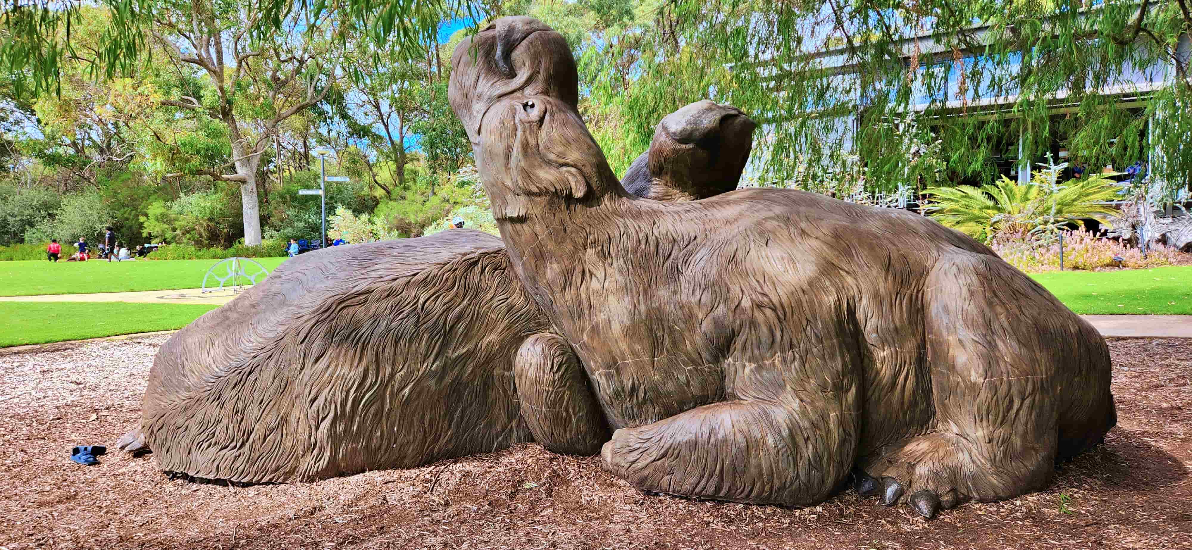The Big Mega Fauna sculptures, Kings Park and Botanic Garden
