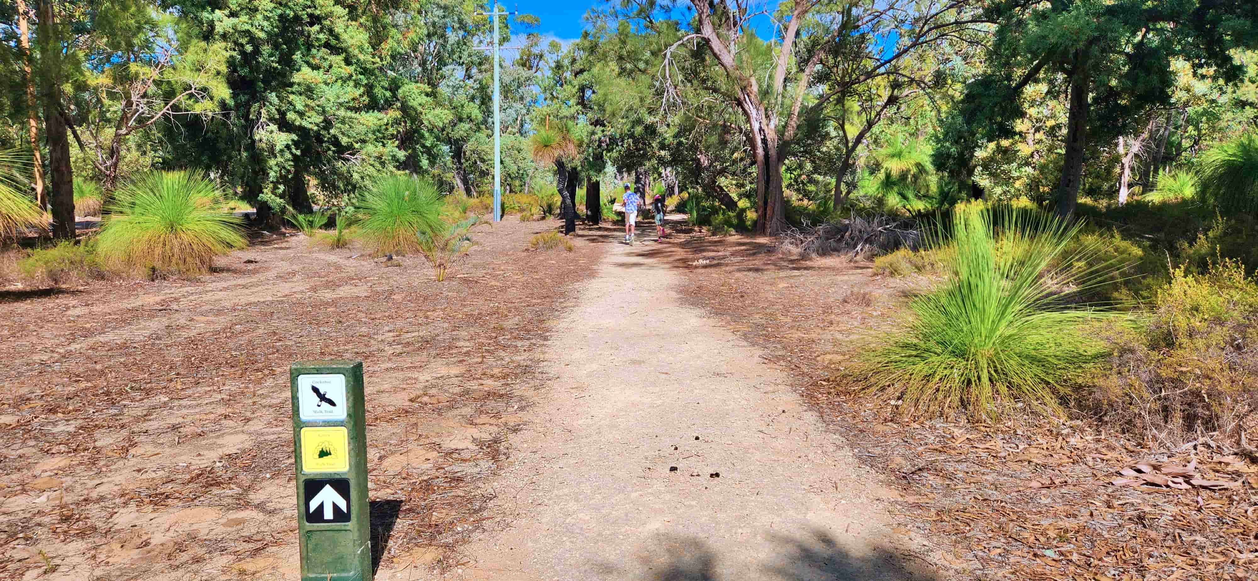 Caves Walking Trail in Yanchep National Park