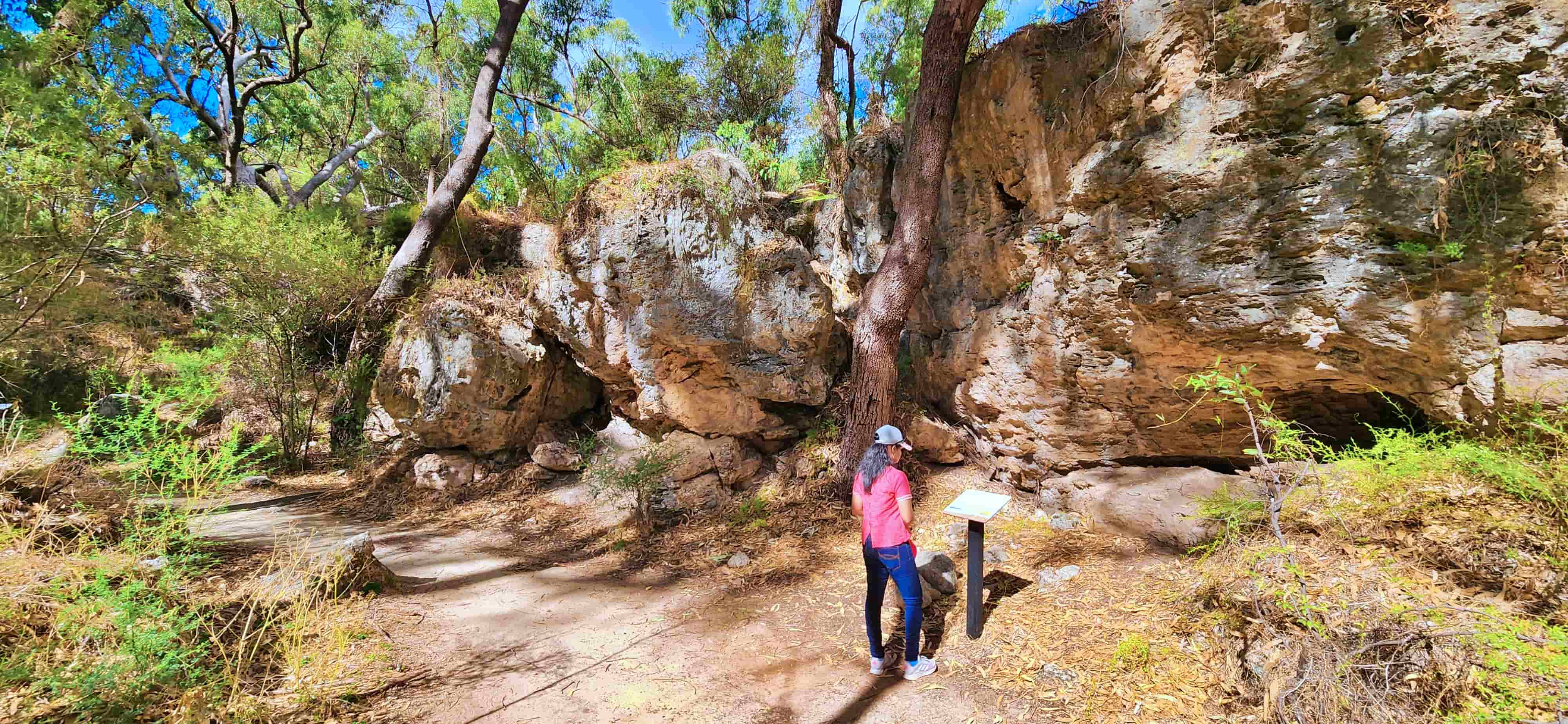 Dwerta Mia Walk in Yanchep National Park