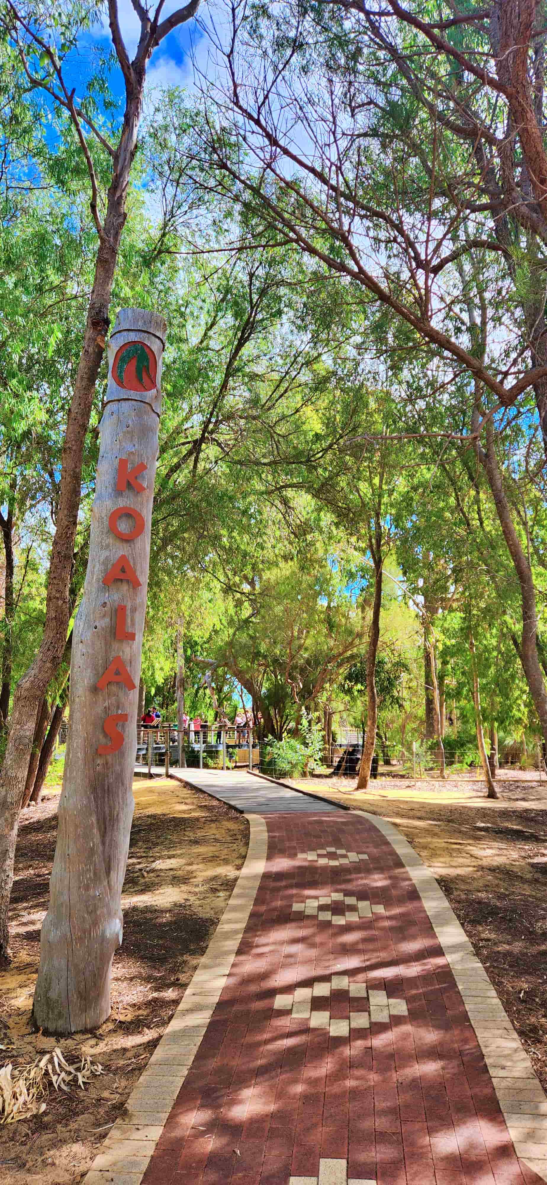 Koala Boardwalk, Yanchep National Park