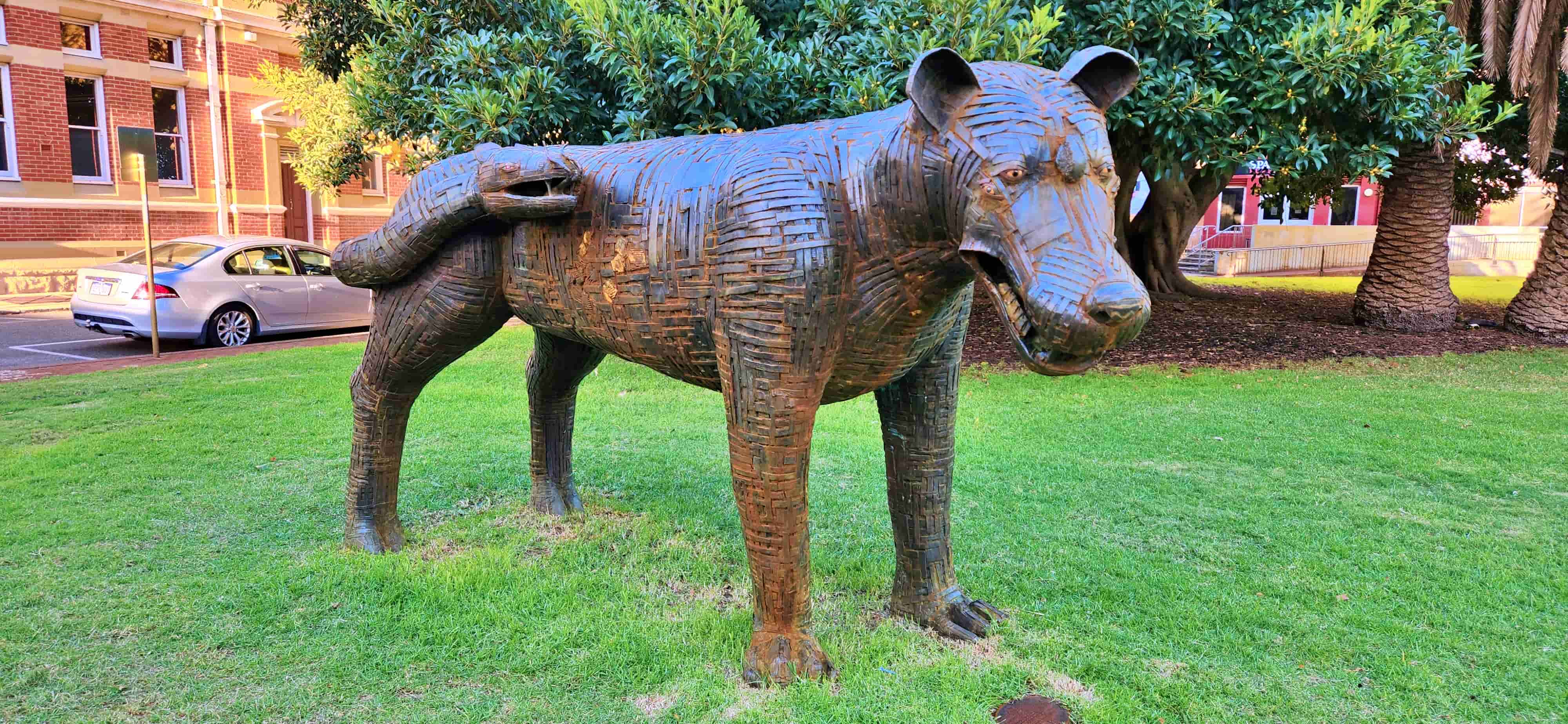 BIG Dog Chimera, Pioneer Park, Fremantle
