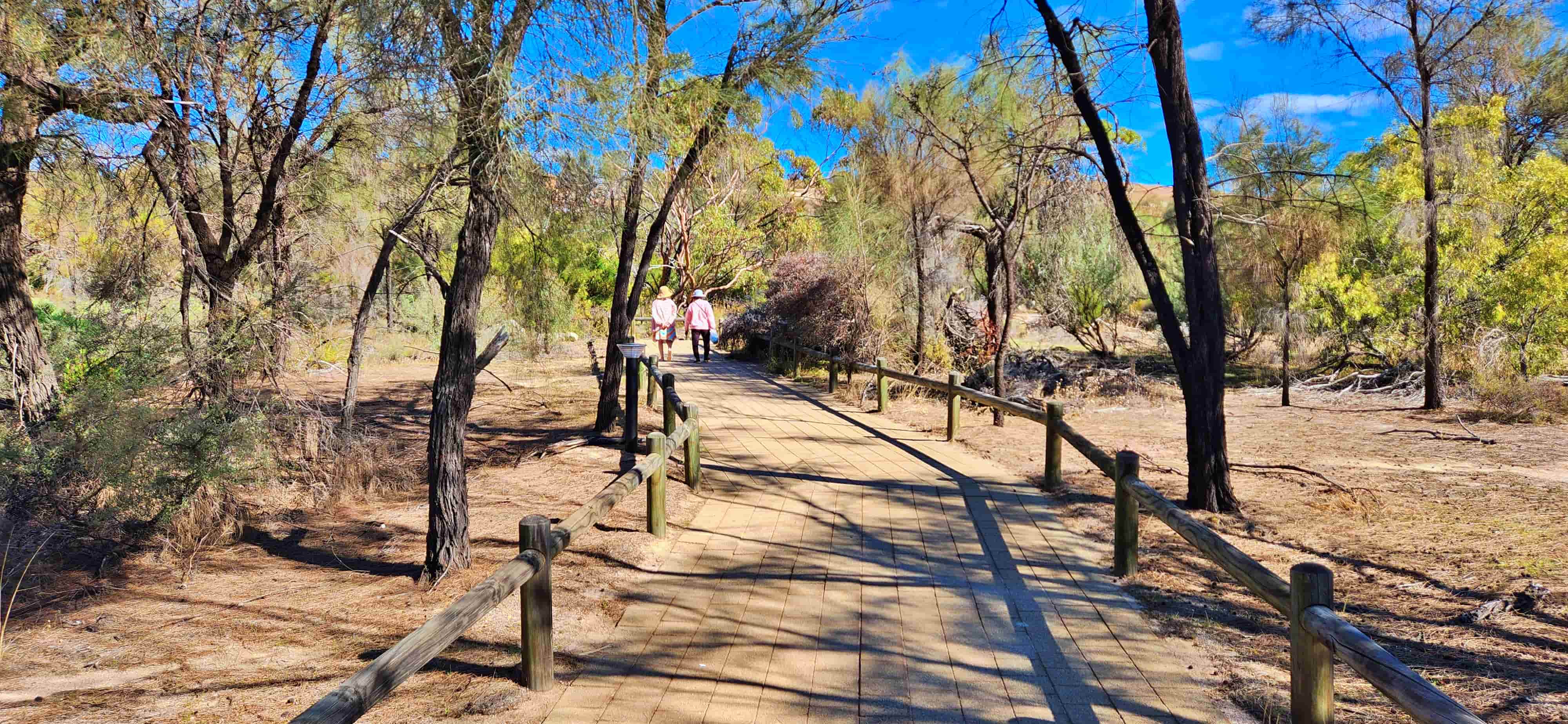 The Wave Rock Walk in Hyden