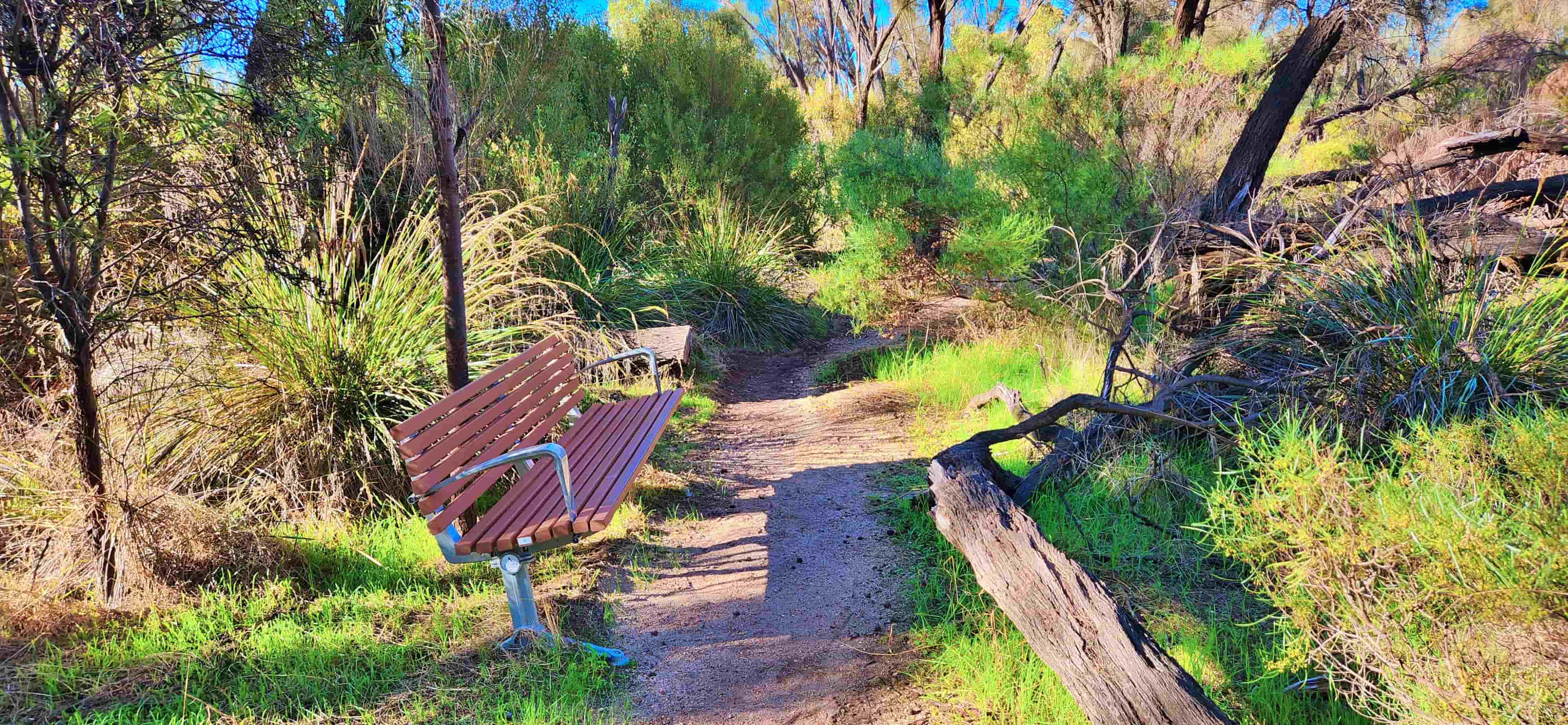 Resting Area along Hippo’s Yawn Loop Walk, Hyden Rock, WA
