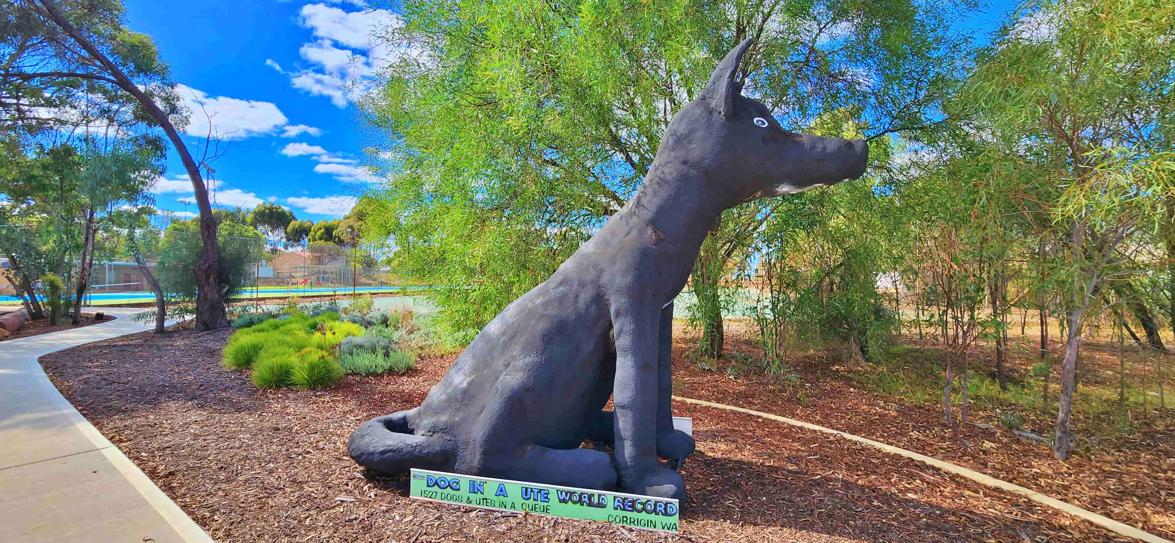 BIG Black Dog, Corrigin